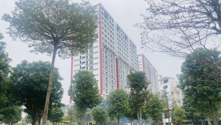 Shophouse góc rộng đẹp nhất Khai Sơn 262m2 mặt đường 40m chỉ tháng 9/2024 nhận kinh doanh luôn